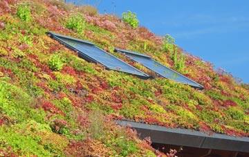Ditton Priors living roof systems