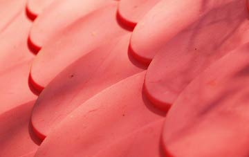 Ditton Priors plastic roof costs