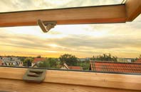 rated Ditton Priors roof window companies